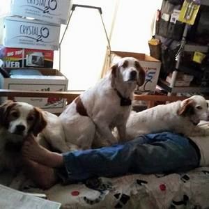 Meet your Posher, Jack